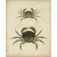 thumbnail image 2 of Sowerby, James 20x24 Gold Ornate Wood Framed with Double Matting Museum Art Print Titled - Crustaceans IV, 2 of 4