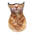 thumbnail image 3 of 5xPolainas Para El Cuello Con Diseño De Gato, Máscara Facial De Verano Con Presillas Para Las Orejas Para Esquiar, Uso Diario, Marrón, 3 of 8