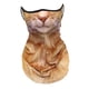 thumbnail image 3 of 4 Polainas Para El Cuello Con Diseño De Gato, Mascarilla De Verano Con Presillas Para Las Orejas Para Esquiar A Diario, Color Marrón, 3 of 8