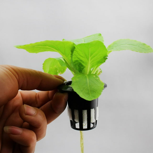 maskred 10PCS Plastic Hydroponic Planting Mesh Net Aeroponic Flower Pot Basket Grow Cup black 3.4cm 1Set