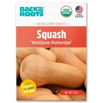 Back to the Roots Organic Winter Squash 'Waltham Butternut', 1 Seed packet