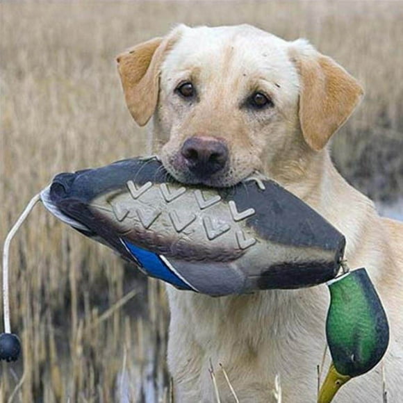 3D Mallard Duck Decoy Outdoor Scarecrow Hunting Decoy Duck Hunting Decoy Garden Camping Yard Ornaments