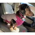thumbnail image 5 of Gooby Half Stretch Fleece Vest Dog Sweater - Peach, X-Small - Warm Pullover Fleece Small Dog Jacket with D-Ring, 5 of 5