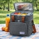 thumbnail image 1 of Bolsa isotérmica impermeable para almuerzo, ideal para oficina, viajes, barbacoas, camping y actividades al libre. Gris, 1 of 8