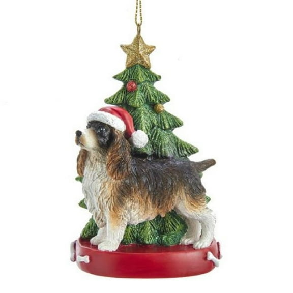English Springer Spaniel Dog Wearing Santa Hat with Christmas Ornament E0369ES