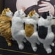 thumbnail image 3 of 12 mini juguete colgante relleno del gato del super suave del juguete de la felpa del gatito para apaciguar el humor, 3 of 5