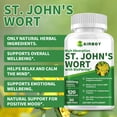 Airboy St. John’s Wort Capsules Relieve Anxiety and Stress,Positive