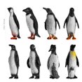 thumbnail image 4 of 16PCS Early Childhood Cognitive Toys Plastic Ocean Animal Penguin Figure Model Preschool Kids Toy(Mixed Pattern), 4 of 6