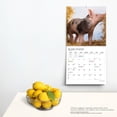 thumbnail image 4 of Farmyard Piglets | 2024 12x24" (Hanging) Square Wall Calendar | StarGifts, 4 of 9