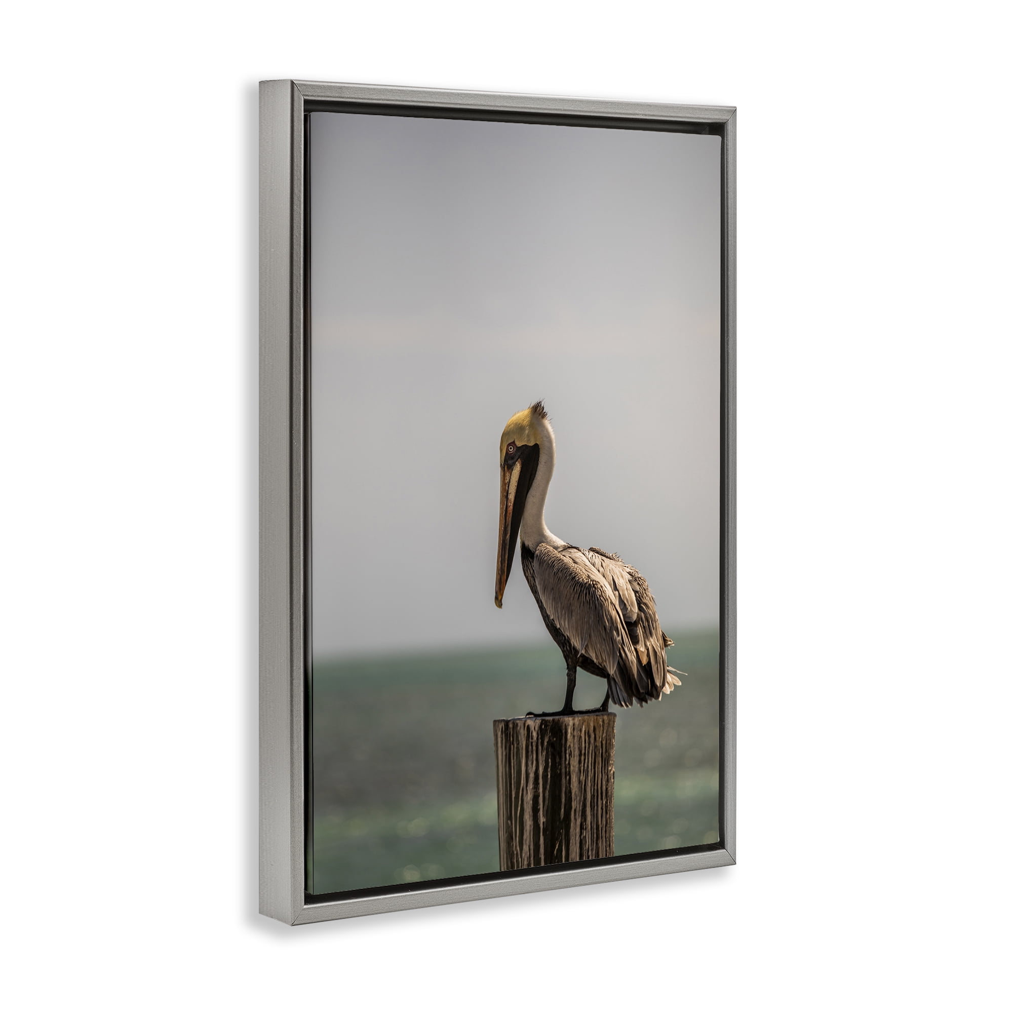 Stupell Industries Nautical Landscape Pelican Animals Photography Gray Floater Framed Canvas Art Print Wall Art, 17 x 25