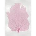 thumbnail image 2 of Miller, Melonie 15x18 Black Ornate Wood Framed with Double Matting Museum Art Print Titled - Sea Fan Pink Blush I, 2 of 4