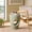 Sage, variant on Safavieh Aishi Indoor/Outdoor Round End Table, Powder Blue