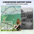 thumbnail image 4 of Outsunny Walk-in Tunnel Greenhouse w/ Support Rods, Plant Hot House, Green, 4 of 10