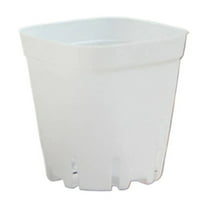 EZPXFCI Plastic Plant Pots 2.55 Inch, 10 Pcs White Flowers Pot Seedling Nursery Transplanting Planter Indoor Outdoor for Garden Office and Balcony Decor