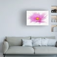 thumbnail image 2 of Trademark Fine Art 'Dancing Flower Deep Pink Cosmos' Canvas Art by Cora Niele, 2 of 4