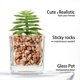 thumbnail image 3 of 4 piezas de suculentas falsas para la decoración de la bandeja escalonada de la casa de campo Plantas artificiales más pequeñas en maceta Plantas de imitación Decoración de estantería de interior, 3 of 5