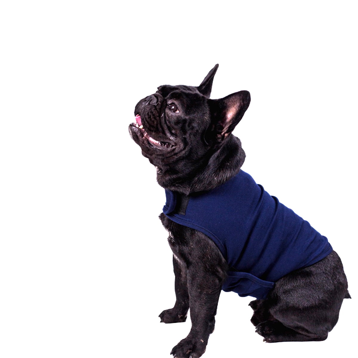 puppy dog clothes