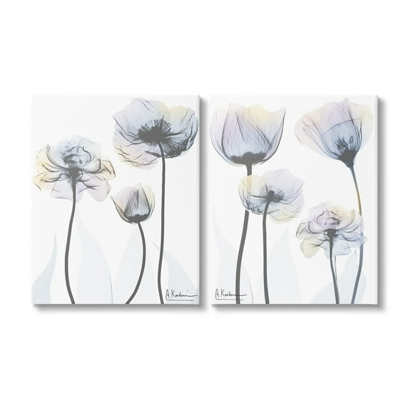 Stupell Industries Modern X-Ray Blooms Botanical & Floral Photography Gallery Wrapped Canvas Art Print Wall Art, 16 x 20, Set of 2