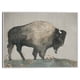 thumbnail image 1 of Cuadros Decorativos - Búfalo en Amapolas Jr Canvas, 1 of 2