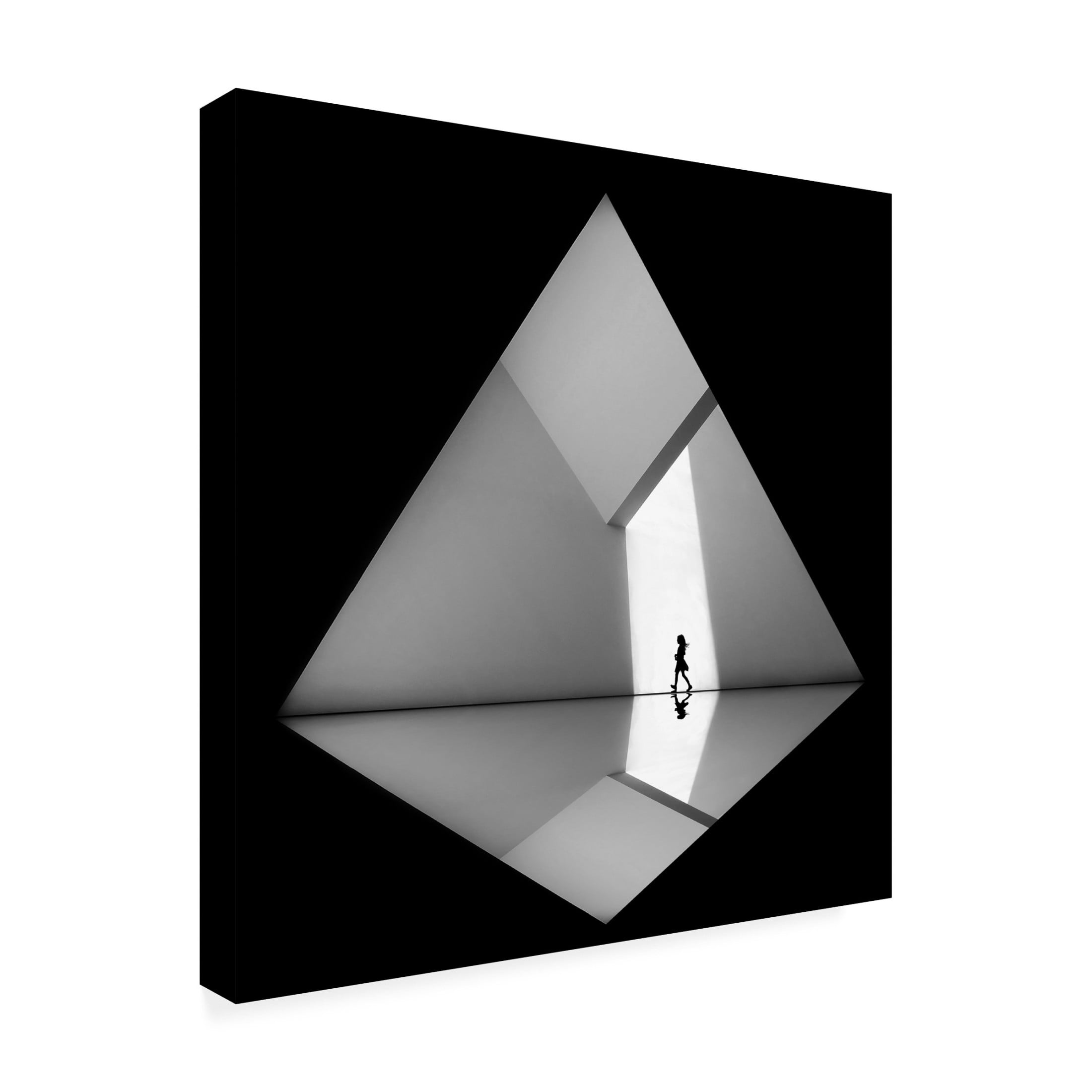 Trademark Fine Art Huib Limberg  Walking the Diamond 01 Canvas Wall Art