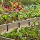 thumbnail image 3 of Fiudx Púas Repertorios de Energía Solar, Repertorios de Serpentina y Ratones de Jardín y Patio, Ahuyentadores de Marmotas, Color Negro, 3 of 7