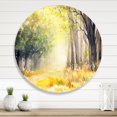 thumbnail image 1 of Designart - Bright Sunshine Through The Forest Trees IV - Traditional Metal Circle Wall Art, 1 of 5