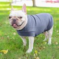 thumbnail image 4 of Graflsoa Cozy Winter Pet Sweater for Cats & Dogs - Soft Polyester, High Elasticity, Fashionable Blue Design, Size L (PD10044#), 4 of 7