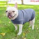 thumbnail image 4 of Perro suéter invierno cálido gatos camisa ropa para mascotas para pequeños, 4 of 8