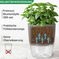 thumbnail image 3 of Herb Pot Kitchen Set Windowsill Self-watering Set Of 3 Herb Garden For The Kitchen, 18.2x 11x 15.3 Cm, For Fresh Kitchen Herbs, Grey, 3 of 5