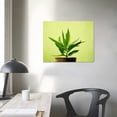 thumbnail image 3 of ONETECH Succulent Simplicity Canvas Wall Art, 3 of 4