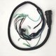 thumbnail image 3 of Wire Harness Assy For Boat Engine 2t 40hp 66t-82590-00-00 66t-82590-20 66t-82590-20-00 66t-82590-00, 3 of 5