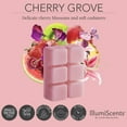 thumbnail image 4 of IllumiScents Cherry Grove Wax Melts Highly Fragrant Soy Blend, 2.5 oz (1-Pack), 4 of 8