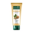 thumbnail image 1 of Biotique Walnut Exfoliating & Polishing Face Scrub For Normal To Dry Skin, 100Gm, 1 of 4