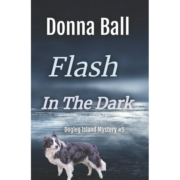 Flash in the Dark (Paperback) by Donna Ball