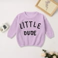 thumbnail image 2 of UngA Boys Pumpkin Sweater Toddler Baby Halloween Sweater Sweatshirt Boy Girl Pumpkin Embroidey Cardigan Sweater Long Sleeve Warm Fall Winter Clothes Light Purple,4-5 Years, 2 of 6