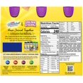 Carnation Breakfast Essentials Flavored Nutritional Drink, Golden