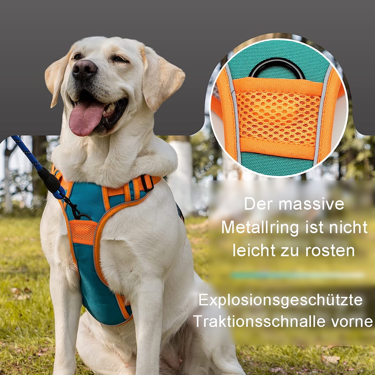 Pawaii Dog Harness Medium Anti-Pull Harness for Dogs Anti Pull Harness Chest Harness Anti Pull Reflective Adjustable Breathable Dog Harness ID Tag Included (M