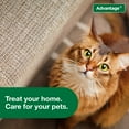thumbnail image 4 of Advantage Carpet & Upholstery Spot Spray, Kills Fleas & Ticks & Bedbugs, 16 oz., 4 of 7