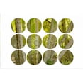 thumbnail image 2 of Murdock, Ramona 14x11 Black Ornate Wood Framed with Double Matting Museum Art Print Titled - Bamboo Circles, 2 of 4