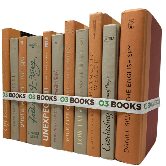 Vibrant Fiesta Decorative Books Orange and Beige