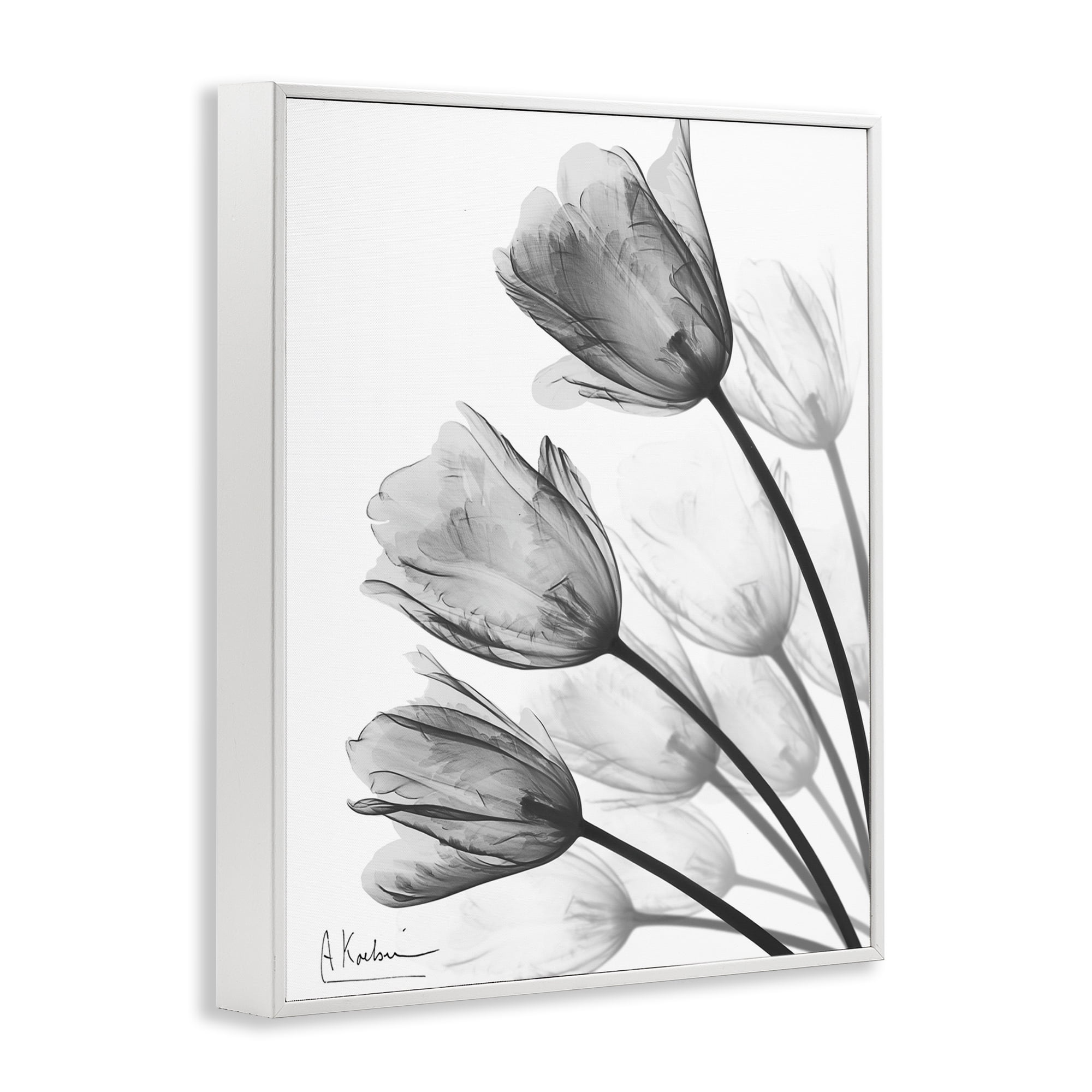 Stupell Industries Minimalist Tulip Fan White Framed Giclee Art, design by Albert Koetsier