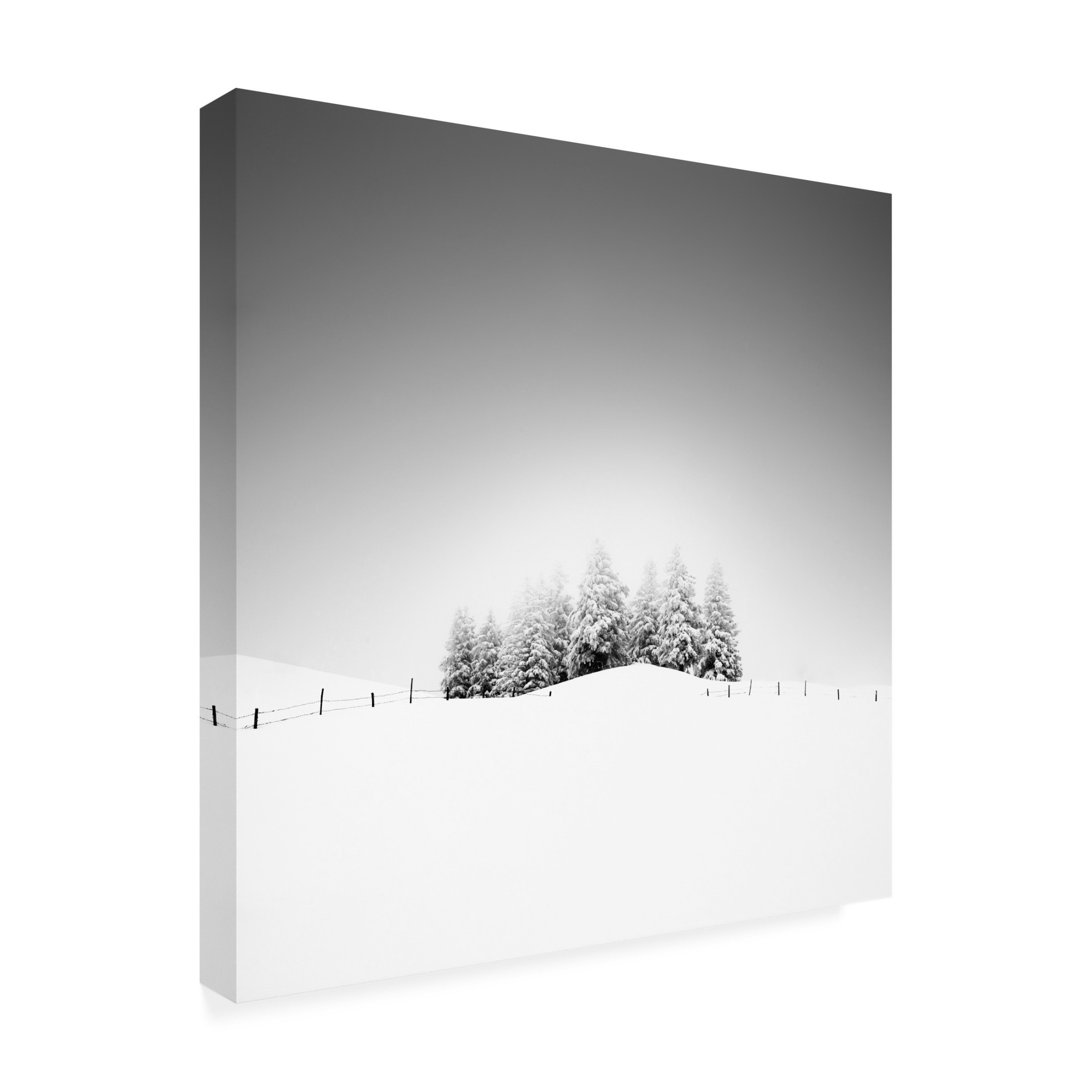 Trademark Fine Art Alexej Schulz Cohesion Canvas Wall Art