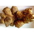 thumbnail image 2 of Jerusalem Artichoke Plants, 3.25" Pot, 3 Count, 2 of 5