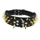 thumbnail image 1 of Collar de perro mascota arnés ajustable tachonado cuero de imitación punk remache collar de perro pu puntas afiladas suministros para perros, XS Colco collar de cachorro, 1 of 4