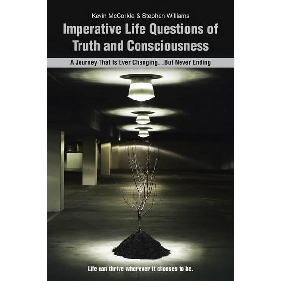 Imperative Life Questions of Truth and Consciousness: A Journey That Is Ever Changing...But Never Ending, (Paperback)