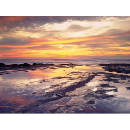 USA, California, San Diego, Sunset Cliffs Tide Pools, Pacific Ocean Print Wall Art By Jaynes