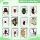 thumbnail image 5 of 12 muestras de insectos en resina, pisapapeles de colección de insectos, insectos reales conservados en resina, juguetes educativos científicos para niños, hombres y mujeres, 5 of 6