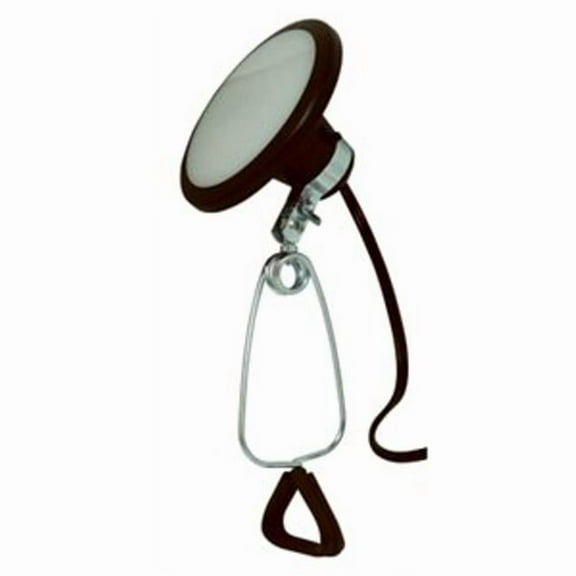 Southwire & Coleman Cable 248723 8W 600 Lumen Clamp Utility Light