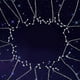 12 Constellation Bijoux Cheville Creux Or Dames Cheville Simple Douce Mode Marée Chaîne Collier Belle – image 4 sur 7
