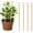 6PCS, variant on Copper Garden Stakes, 2026 Upgraded Electroculture Plant Stakes, Copper Rods for Garden, Electro Culture Gardening Antenna for Gardening Growing Plants and Vegetables (6PCS,13.5 Inches)